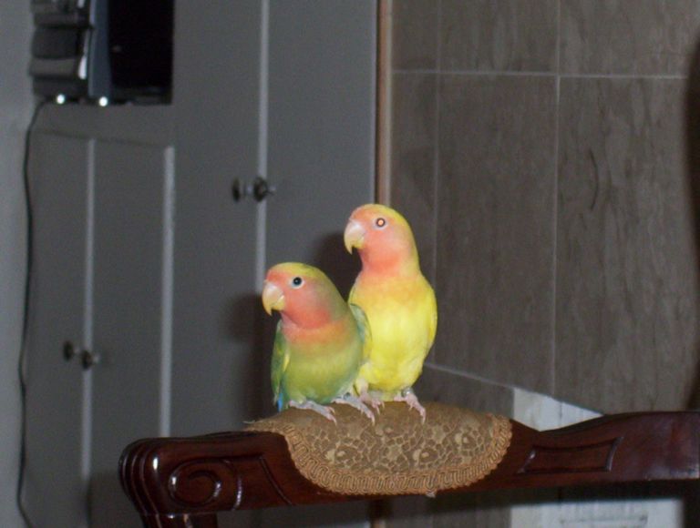 cuties1.jpg